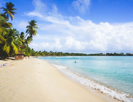 Les Salines, Martinique